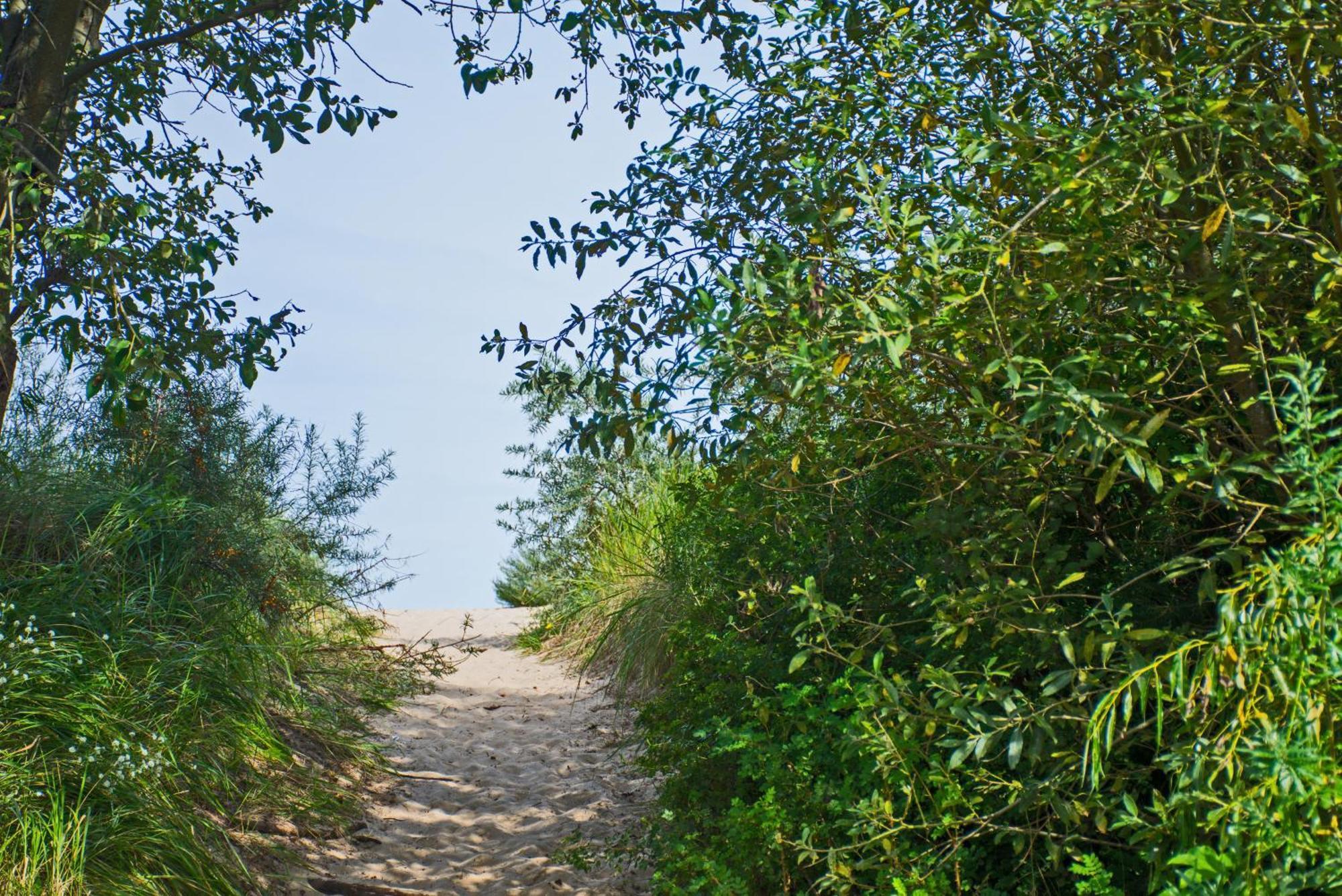 אוקריץ Seestern מראה חיצוני תמונה